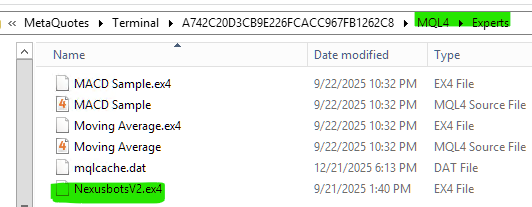 Pasting NexusBotsV2.ex4 into the Experts folder